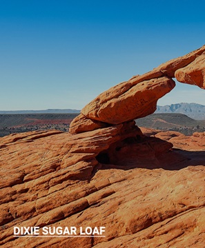 Pioneer Park Arch